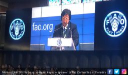 Di Hadapan 99 Negara, Menteri Siti Bicarakan Hutan Indonesia - JPNN.com