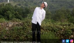 Cawapres Jokowi Mengerucut Dua Nama, Wouw! - JPNN.com