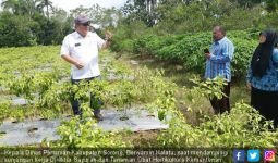 Hortikultura di Bumi Kepala Burung Terus Meningkat - JPNN.com