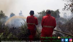 24,5 Hektare Lahan Terbakar, Tebo Tingkatkan Status Siaga - JPNN.com