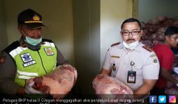 Petugas Gagalkan Penyelundupan Daging Celeng Ilegal - JPNN.com