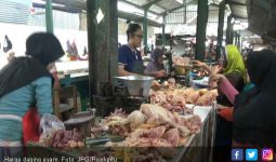 Harga Daging Ayam Makin Bikin Resah - JPNN.com