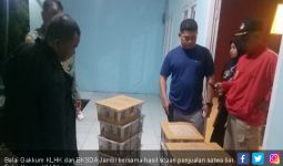 Polisi Gagalkan Penyeludupan Satwa Langka dari Tanjabtim ke Batam - JPNN.com