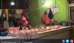 Penjual Daging Ayam Mulai Menjerit Minta Solusi - JPNN.com
