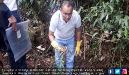 Penemuan Tengkorak Manusia di Hutan Hebohkan Warga Langkat - JPNN.com