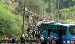 Pohon Usia Ratusan Tahun Mendadak Tumbang Timpa Mobil - JPNN.com