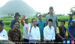 TGB Mantap Dukung Jokowi Tuntaskan Dua Periode - JPNN.com