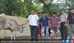 Tiga Pencuri Sapi di Martapura Ambruk Diterjang Peluru - JPNN.com