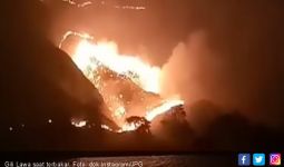 Polda NTT Janji Tuntaskan Kasus Kebakaran Lahan di Gili Lawa - JPNN.com