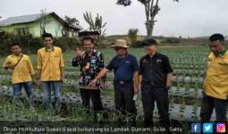 Mentan Sukses Jadikan Solok Tulang Punggung Bawang Sumatera - JPNN.com