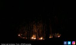 Ada yang Sengaja Membakar Puluhan Hektar Hutan Rakyat - JPNN.com