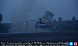 Padamkan Karhutla, BPBD Jambi Pakai Helikopter Water Bombing - JPNN.com