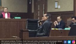 Ahli Hukum: Perkara Syafruddin Temenggung Tidak Masuk Akal - JPNN.com