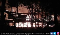 Kebakaran Hebat di Kalimantan, Ribuan Nyawa Melayang - JPNN.com