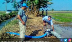 Pengelolaan Pompa Air Selamatkan Padi Sawah di Karawang - JPNN.com