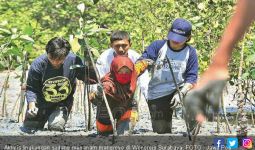 Jaga Lingkungan dengan Bersih Pantai dan Tanam Mangrove - JPNN.com