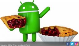 Sony Umumkan 6 Ponselnya Pakai Android 9 Pie - JPNN.com