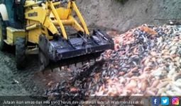 Cegah Kematian Massal Ikan, KKP Pantau dengan Kalender - JPNN.com