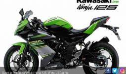 Kawasaki Kembangkan Motor Bermesin Lebih Kecil dan Ringan - JPNN.com