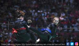Indonesia Diuntungkan 9 Cabor Baru di Asian Games 2018 - JPNN.com