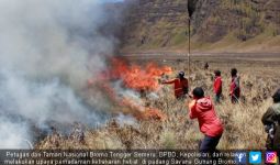 Asap Kebakaran Hutan Bromo Berisiko Picu Gangguan Pernapasan - JPNN.com
