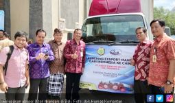 Ekspor Manggis, Mentan: Pertanian Indonesia punya Daya Saing - JPNN.com