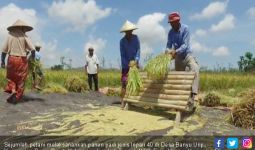 Petani NTB Berhasil Tingkatkan Hasil Panen di Musim Kemarau - JPNN.com