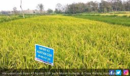 Produktivitas Petani Gunung Kidul Meningkat, Begini Caranya - JPNN.com