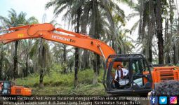 Kala Mentan Amran Garuk Sawit Tua di Jambi - JPNN.com