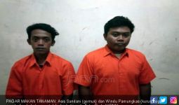 3 Pria dan 1 Wanita Muda Pesta Miras di Pondok, Terjadilah - JPNN.com