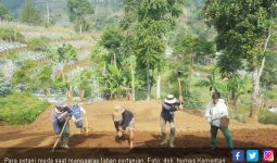 Food Estate Buka Peluang Merealisasikan Kemandirian Pangan Indonesia - JPNN.com