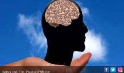 7 Gejala Otak Anda Menua Lebih Cepat - JPNN.com