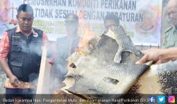 BKIPM Musnahkan Ratusan Lembar Kulit Biawak Ilegal di Jambi - JPNN.com