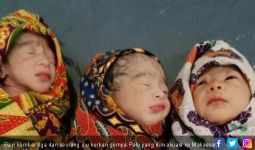 Korban Gempa Sigi Dikaruniai Bayi Kembar Tiga di Makassar - JPNN.com