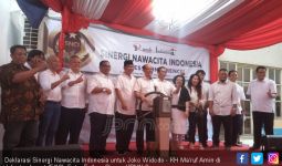 Sinergi Nawacita Janjikan 90 Juta Suara untuk Jokowi-Ma'ruf - JPNN.com
