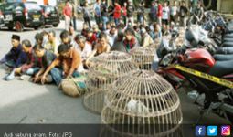 45 Orang Pemalas Tertangkap Sedang Berjudi Sabung Ayam - JPNN.com