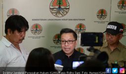 KLHK Meminta Pengadilan Eksekusi Perusahaan Perusak Hutan - JPNN.com