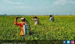 Pertanian Indonesia Sudah Menuju Arah yang Benar - JPNN.com