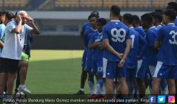 Bhayangkara FC vs Persib: Mario Gomez Usung Dendam Membara - JPNN.com