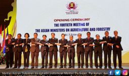 Mentan Sampaikan Capaian Sektor Pangan dalam Forum ASEAN - JPNN.com