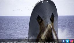 Kapal Sea Shepherd Selamatkan Sejumlah ABK Indonesia - JPNN.com