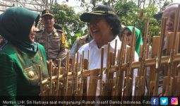 Menteri Siti Terpikat Budi Daya Bambu Warga Banjar - JPNN.com