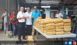 BNN Gagalkan Penyelundupan 250 Kg Ganja di Bakauheni - JPNN.com