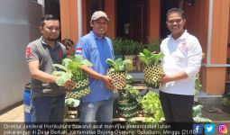 Kementan Dorong Swasembada Sayuran dari Pekarangan - JPNN.com