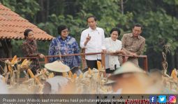 Presiden Jokowi Pengin Lahan Perhutanan Sosial Segera Dihabiskan - JPNN.com