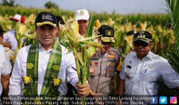 Replanting Sawit dan Jagung Fokus Kementan di Sulbar - JPNN.com