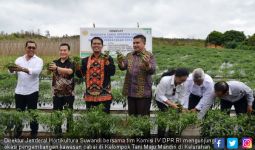 Kementan Dukung Peningkatan Produksi Cabai di Kepulauan Riau - JPNN.com