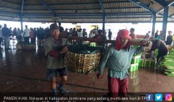 Ikan Melimpah, Nelayan Tagih Janji Bu Susi - JPNN.com