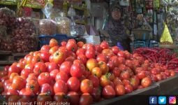 Harga Tomat dan Sayur Terjun Bebas, Pedagang Pusing - JPNN.com