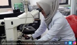 Laboratorium Karantina Pertanian Sudah Bertaraf Dunia - JPNN.com